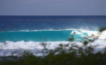 Allamanda Surf Camp, premier surf camp de Guadeloupe, idéal pour les trip surf. Allamanda Surf Camp, premier surf camp de Guadeloupe, idéal pour les trip surf.