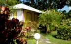 Pack Free Surf Guadeloupe Allamanda Surf Camp